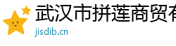 武汉市拼莲商贸有限公司