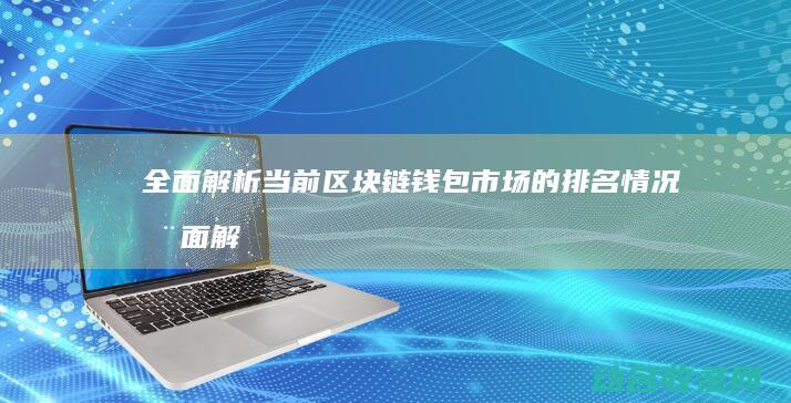 全面解析当前区块链钱包市场的排名情况 (全面解析当前经济形势)